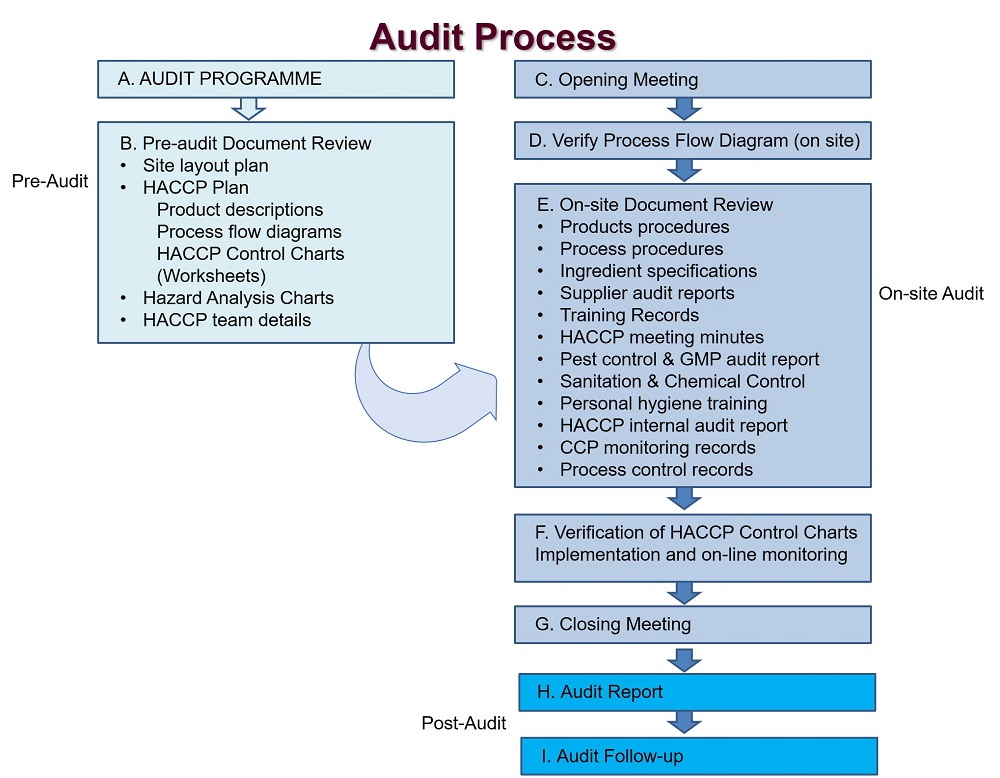 Audit Process